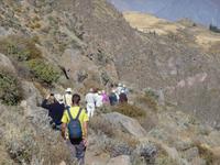 Wanderung im Colca Tal