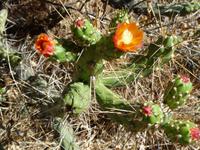 Wanderung im Colca Tal