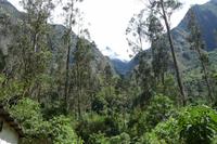 Zugfahrt nach Machu Picchu