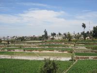 Terrassen bei Arequipa