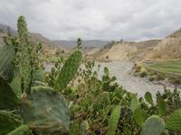 Blick vom Hotel Colca Lodge