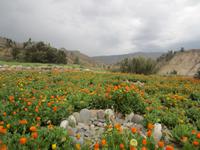 Blick vom Hotel Colca Lodge