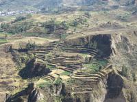  Inka-Terrassen im Colca Tal