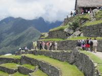Auf dem Machu Pichu