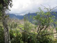 Führung am Machu Pichu