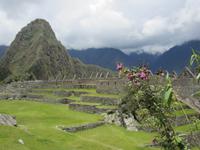 Führung auf dem Machu Pichu