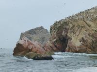 Ballestas Inseln