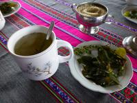 Triple Tee mit Bergminze und Coca-Blättern