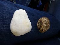 getrocknete Kartoffeln