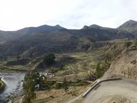 Colca Tal