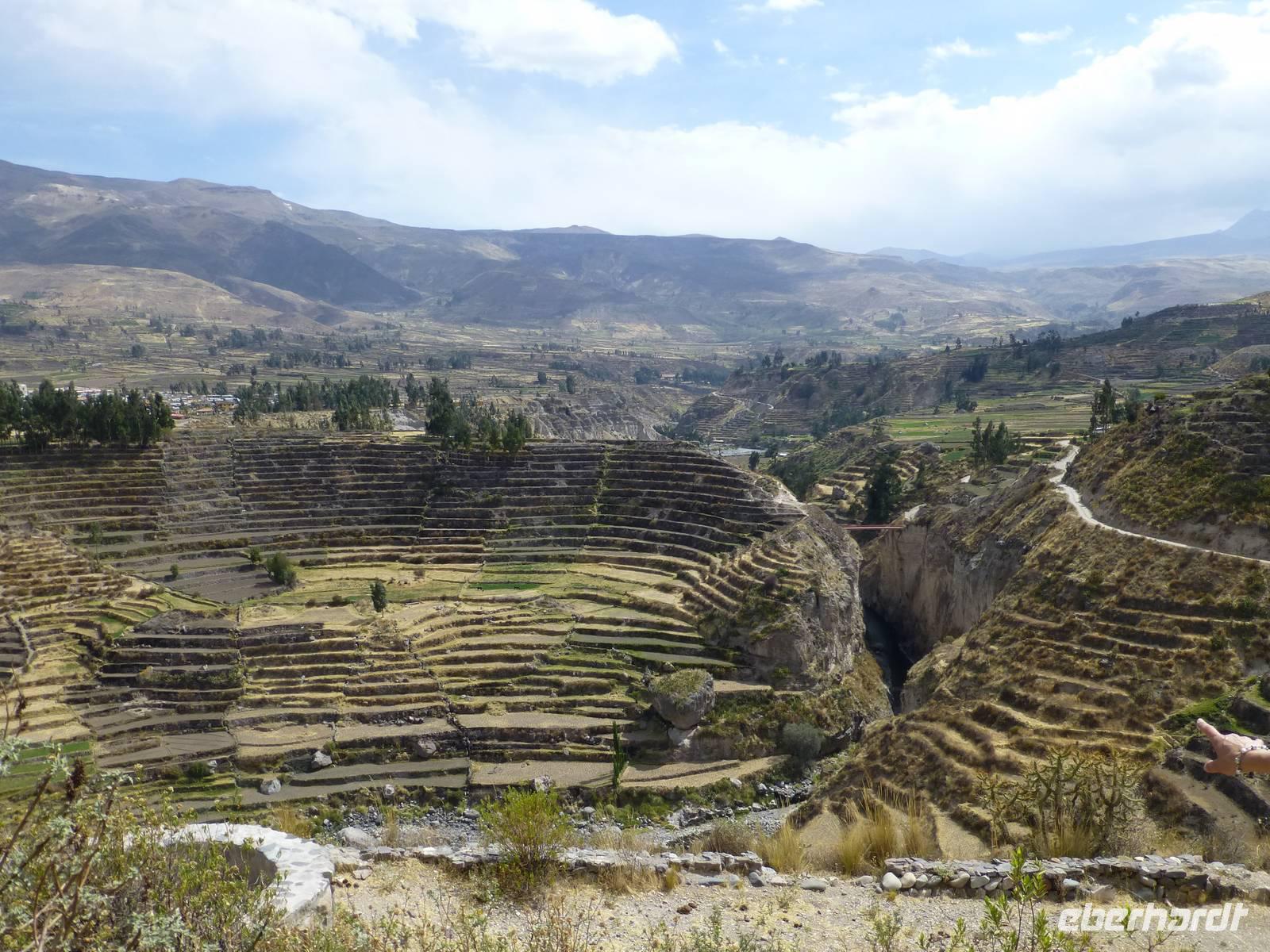 Colca Tal