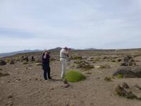 Patampa Pass 4910 m - Andenmoos