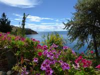 Titicaca See - Suasi