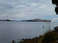 Titicaca See - Suasi