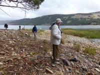 Titicaca See - Suasi