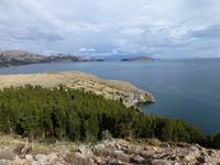 Titicaca See - Suasi