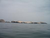 Bootsfahrt zu den Ballestas Inseln