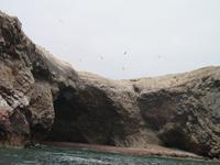 Bootsfahrt zu den Ballestas Inseln