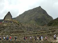 195_Machu Picchu