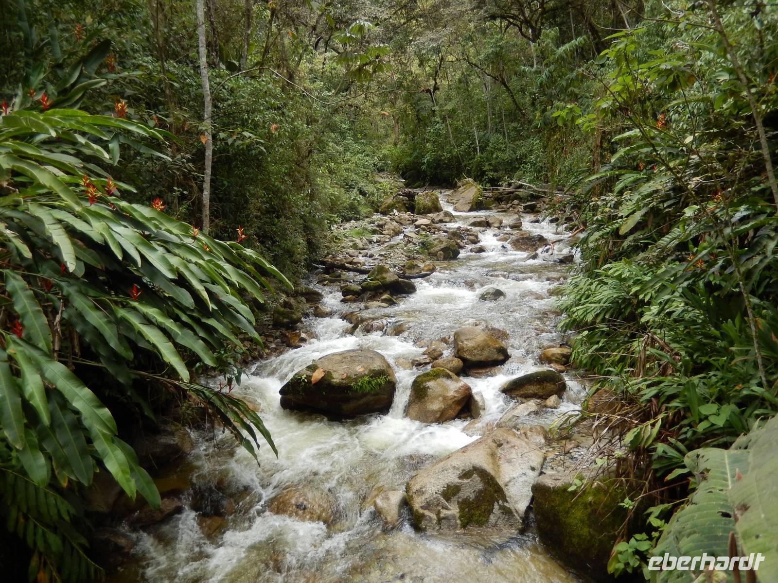 204_Wanderung nach Mandor