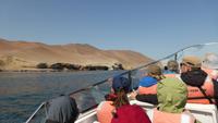 Bootsfahrt zur Halbinsel Paracas