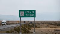 Vicuna-Fotostopp