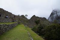 Abschied von Machu Picchu