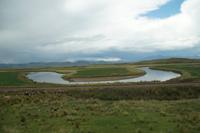 Altiplano peruano 