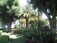 Arequipa