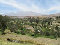 Arequipa