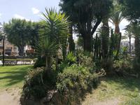 Arequipa