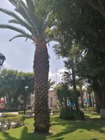 Arequipa