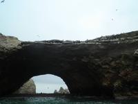 Ballestas Inseln
