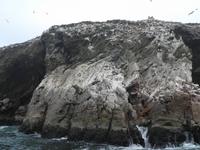 Ballestas Inseln