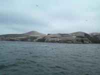 Ballestas Inseln