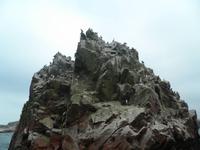 Ballestas Inseln