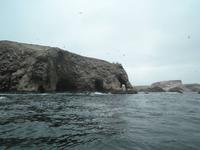 Ballestas Inseln
