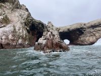 Ballestas Inseln
