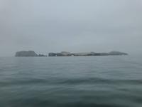 Ballestas Inseln