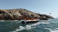 Ballestas Inseln