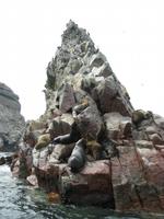 Ballestas-Inseln