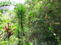 Botanischer Garten