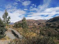 Colca Tal