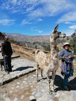 Colca Tal