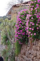 Cusco