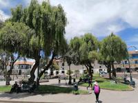 Cusco