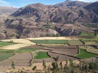 Die Landschaft am Colca-Tal