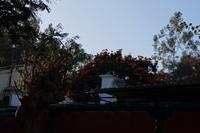 Im Hotel in Nazca