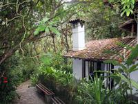 In unserem Resort im Nebelwald