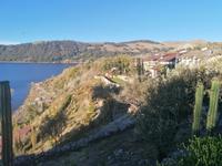 Insel Suasi